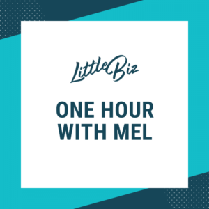 One Hour with Mel from Little Biz