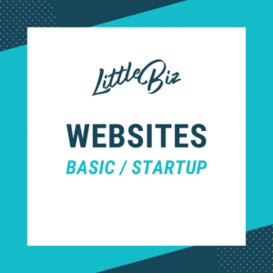 Basic Startup Website: Little Biz Website Packages