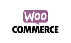 WooCommerce LittleBiz Plugin Recommendation