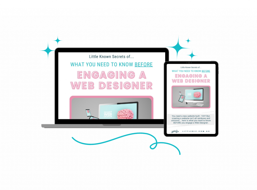 engaging a web designer Ebook by Little Biz